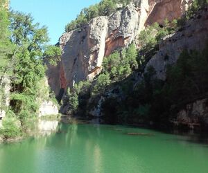 nieves