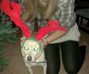 amparo