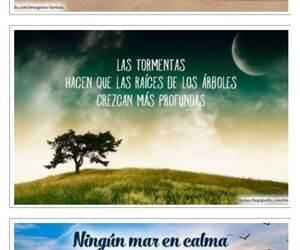 Amparo