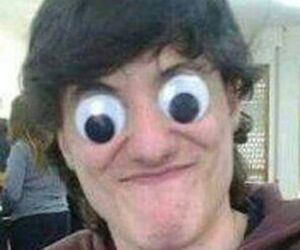 Feis
