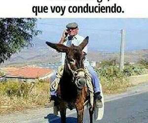 Gual