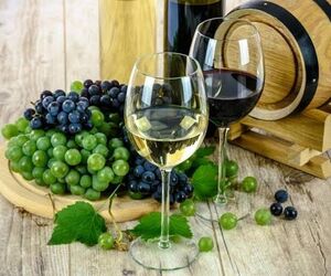 Tapas y vinito