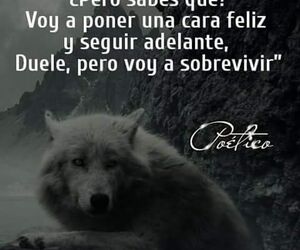 Rubia