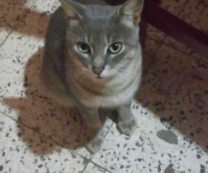 alex1564