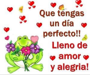 Amparo6
