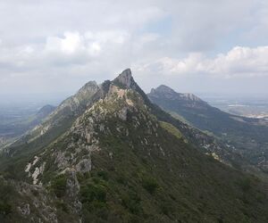 riduszor