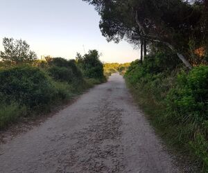 BiciVlc