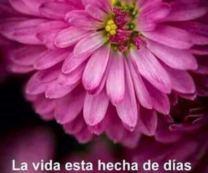 jose