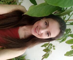 Lorena