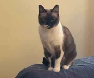 Pablo