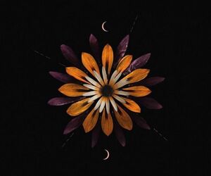 merche