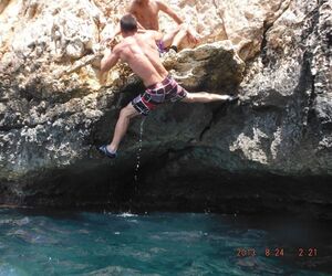 David