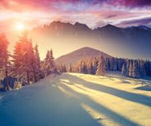 soldeinvierno