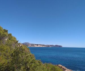 AMIGOS GANDIA 
