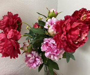 Hortensia