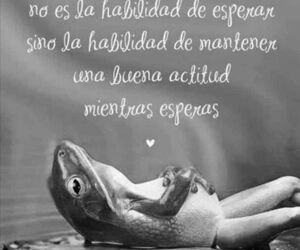 Vicente
