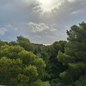 Isaac