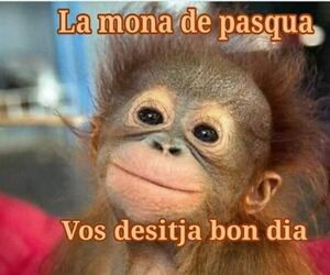 Faustino