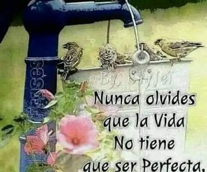 Soledad