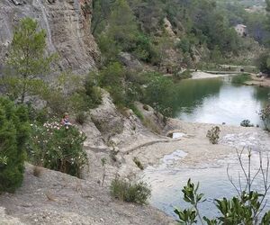 Irene vlc