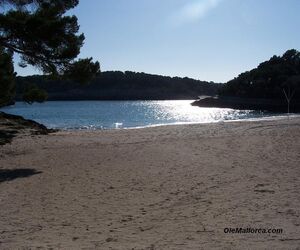 Cati caï¿½e
