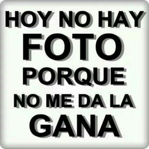BORRACHIN50