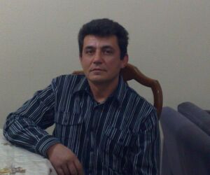 goschi