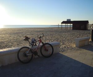 Bike05