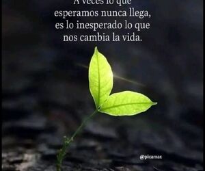 Eugenia