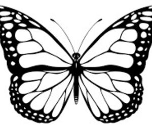 lixia
