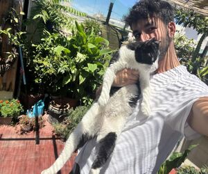 sergio