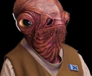 Potroclo