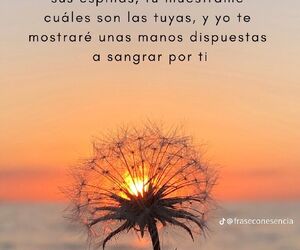 Andres