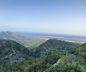 tifani