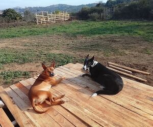 Tierra