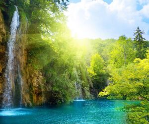 MJ