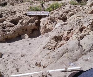 Jesu