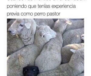 Cristina