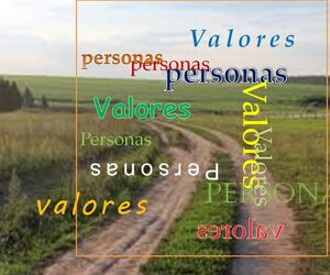 Gente valores