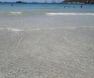 Encarna