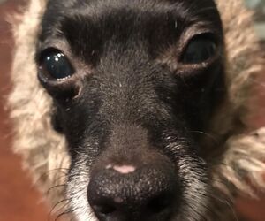 Paqui