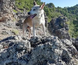 Álvaro