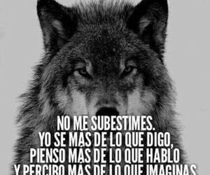 Salva