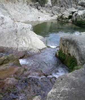 Jorvi