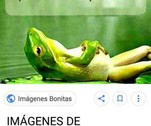 jmbid