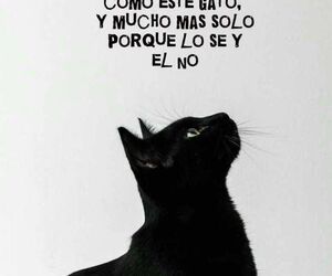 Juanjo