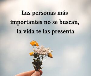 Juan