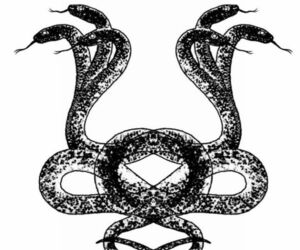 Shapara