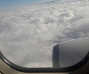 Elias788