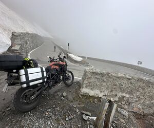 IMPALAGS800
